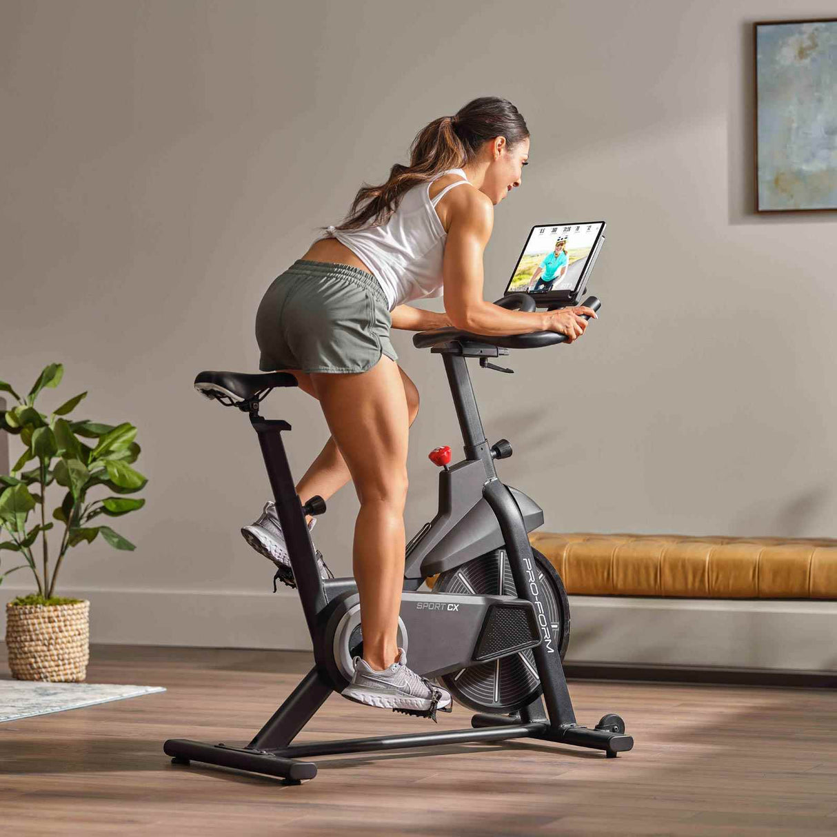 ProFrom Sport CX Spin Bike