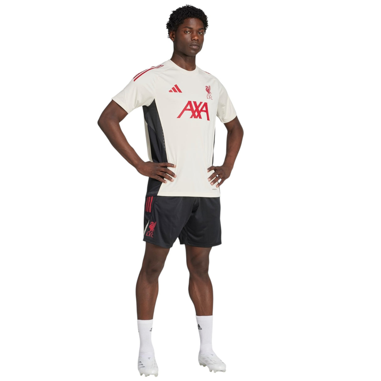 adidas Liverpool Football Tiro 2025/26 Training Shorts