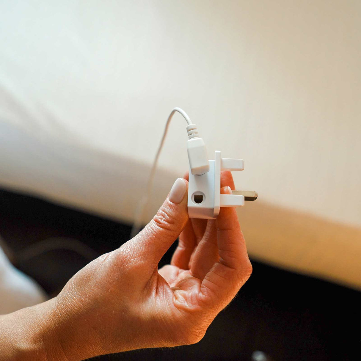 DreamAcres Grounding Sheet Pack - Close up plug view