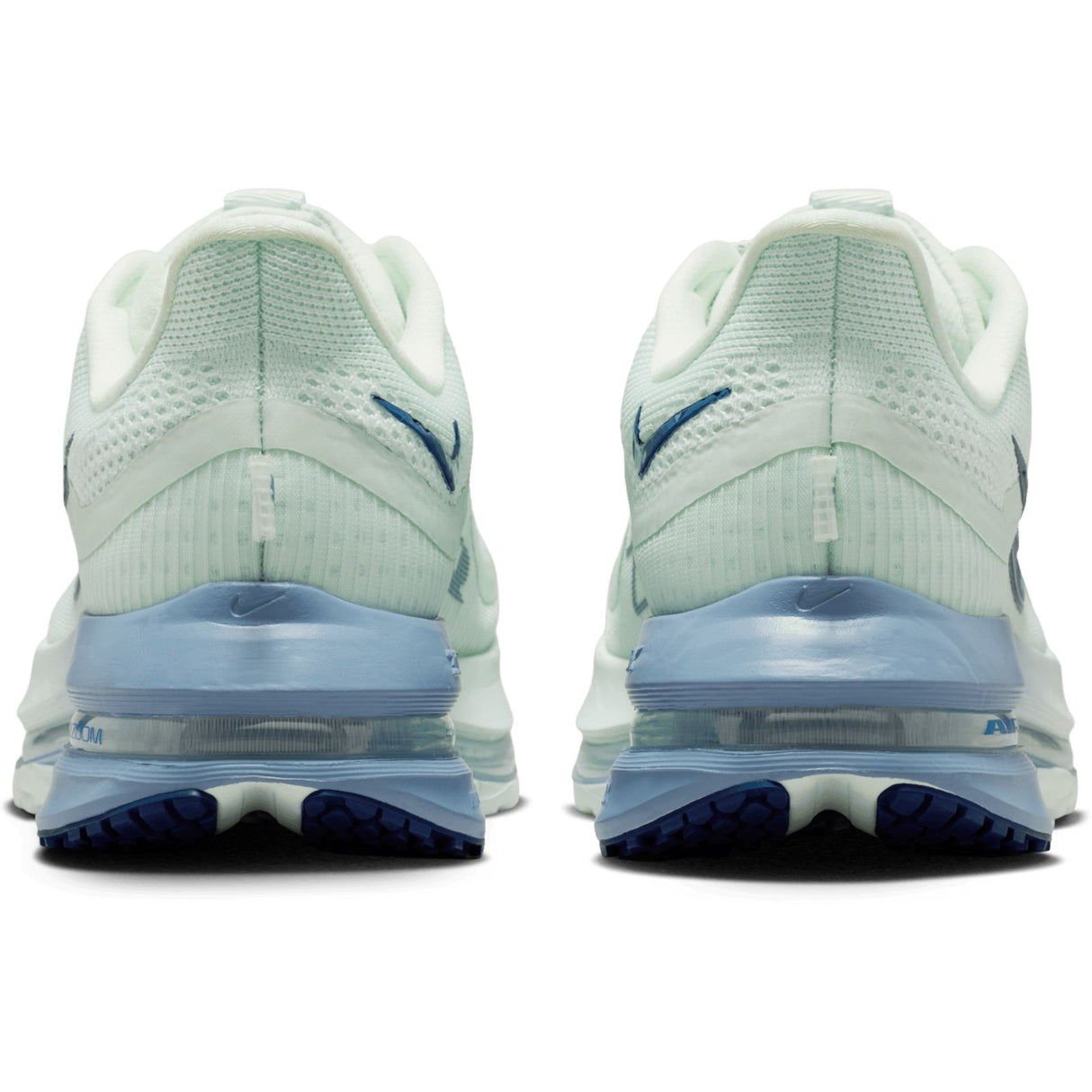 Nike Pegasus Premium Womens Green