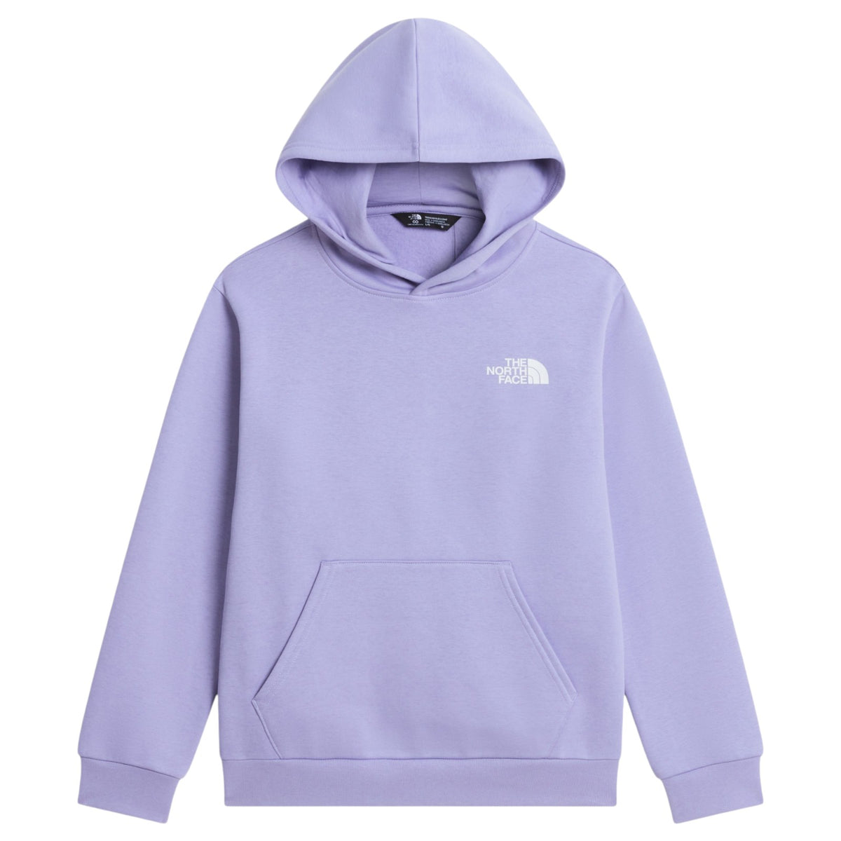 TNF Teen Evolution Box NSE Hoodie Purple