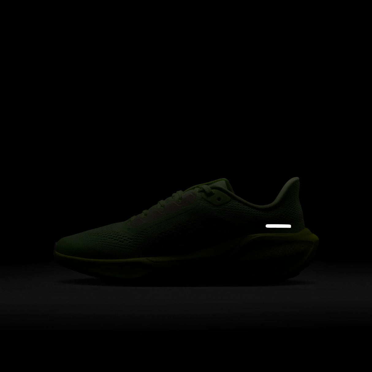 Nike Pegasus 41 Kids Road Running Shoes