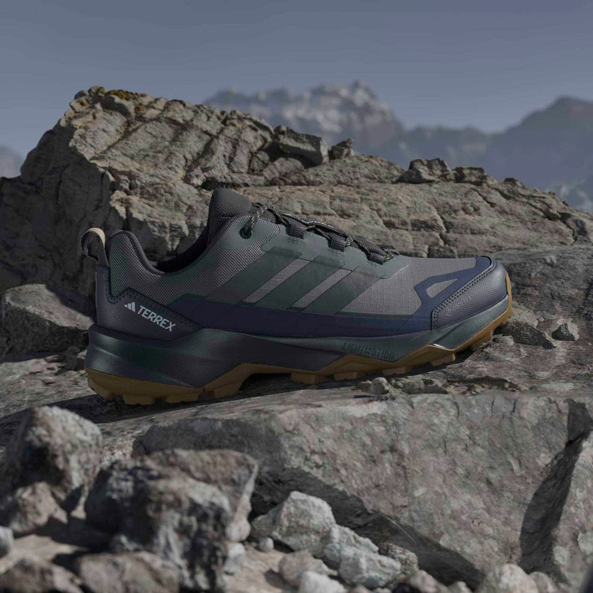 adidas Terrex Skychaser AX5 GTX 0 Grey