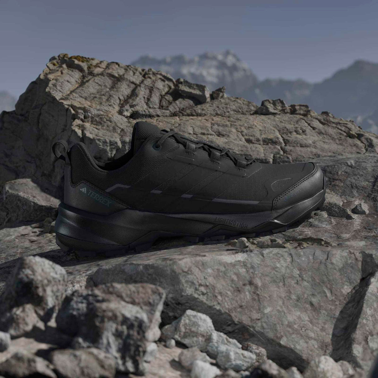 adidas Terrex Skychaser AX5 GTX Black