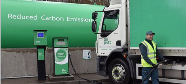 Green initiatives at Elverys