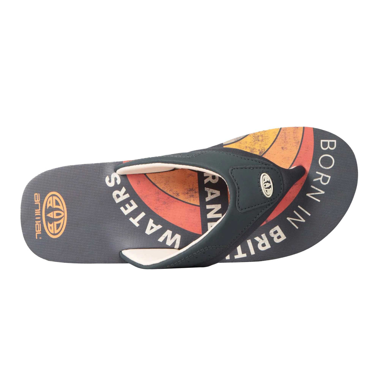 Animal Mens Jekyl Recycled Flip Flop Grey
