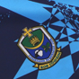 O'Neills Roscommon GAA 2024 Training Jersey