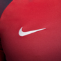 Nike PSG 23 Pre Match Jersey Navy/Red