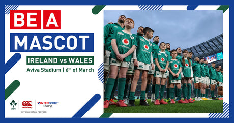 Win A Mascot Place For Ireland V Wales