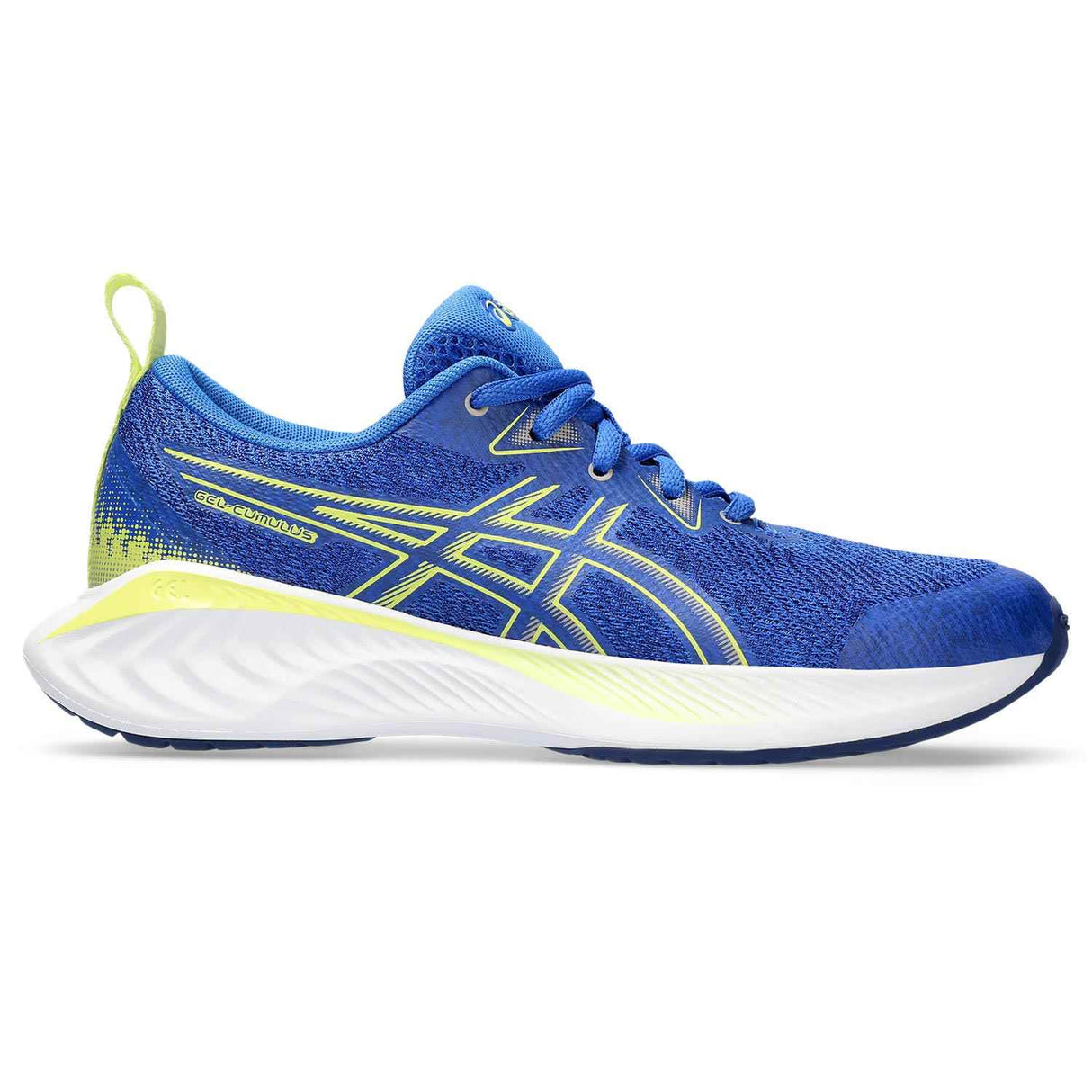 Asics Gel-Cumulus 25 Boys Running Shoes