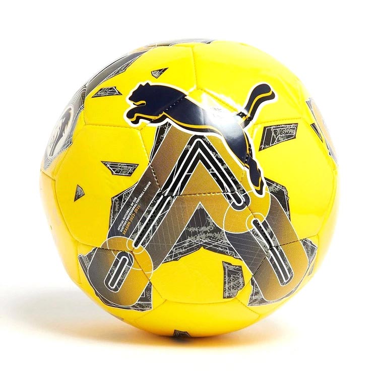 Puma Orbita 6 SPFL 2023/2024 Football