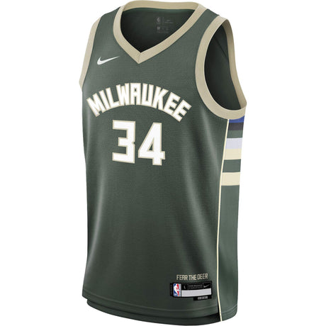 Nike NBA Bucks Giannis 34 Kids Icon Jersey