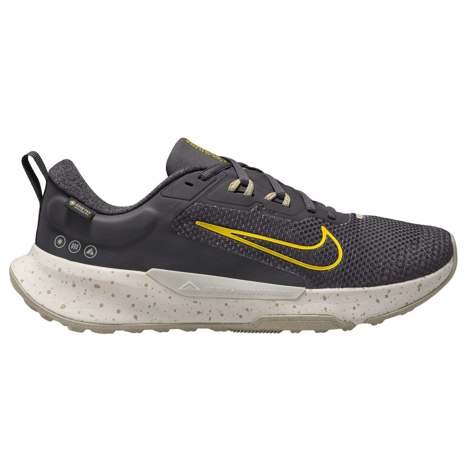 intersport nike air zoom pegasus 36