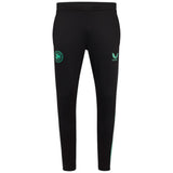 Castore FAI Ireland Football 2025/26 Mens Training Pant Front View