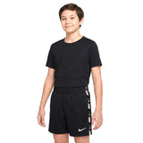 Nike Kids 4" Volley Shorts