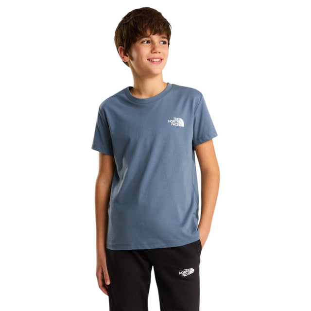 TNF TEEN Boy BOX NSE REGULAR SS Tee Grey