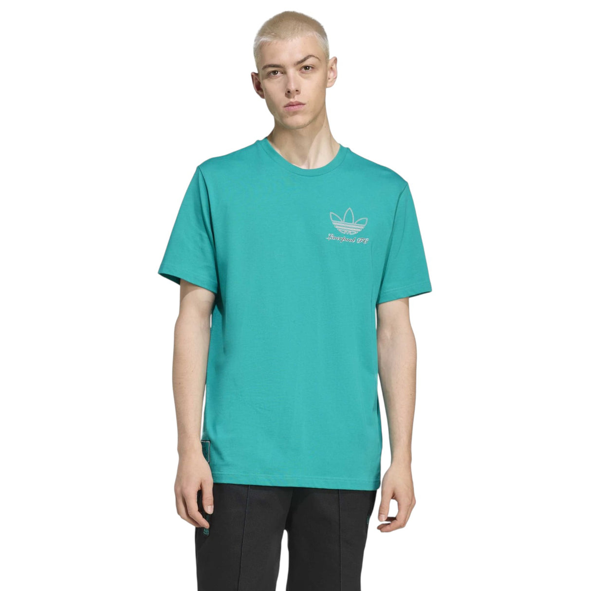 adidas Liverpool Football 2025/26 Adults Graphic T-Shirt
