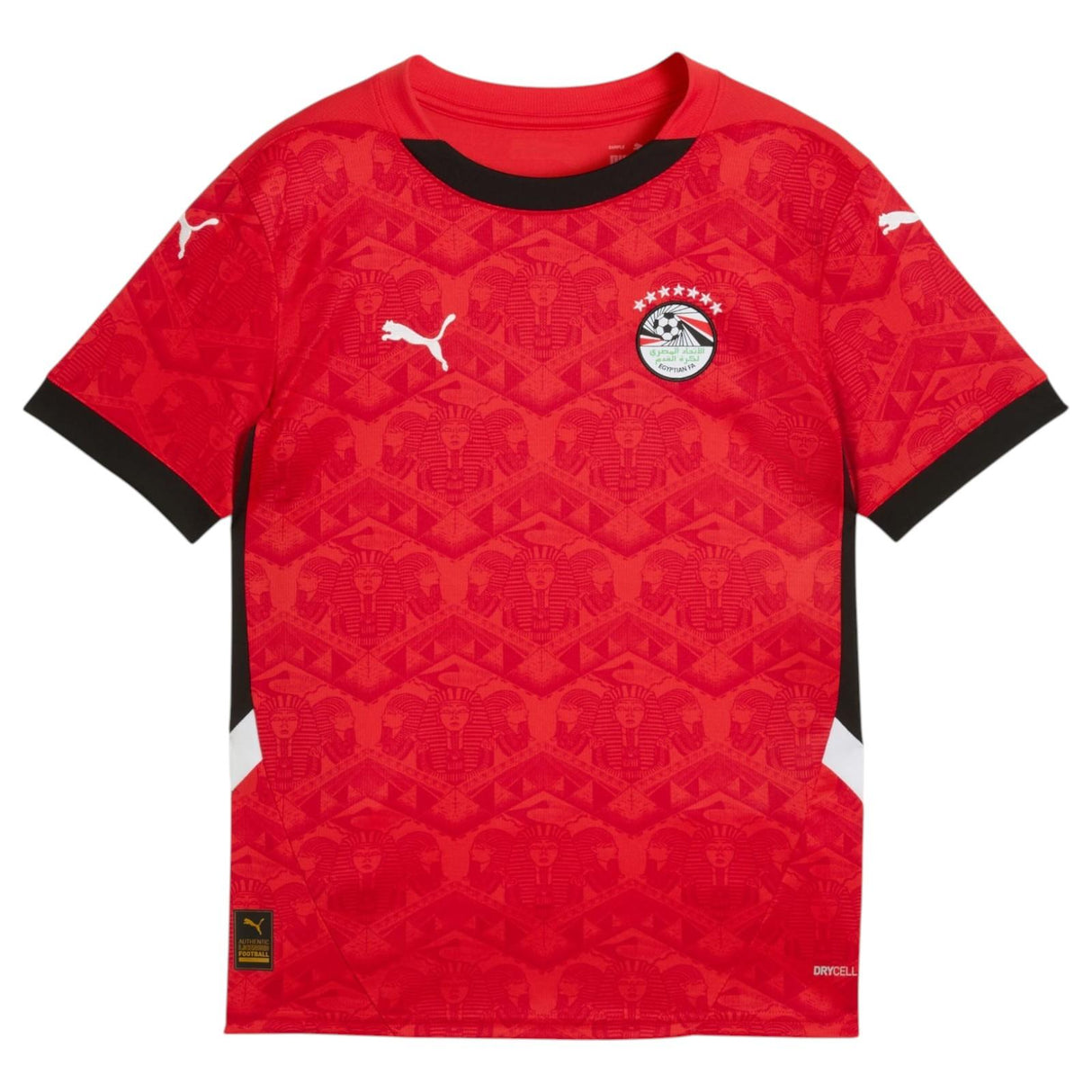 Puma Egypt Home Kids Jersey  Red