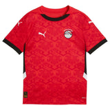 Puma Egypt Home Kids Jersey  Red