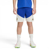 adidas Juventus Football 2026/27 Tiro Kids Training Shorts