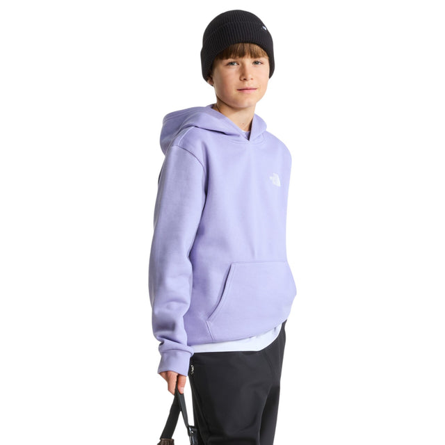 The North Face Evolution Box NSE Teens Pullover Hoodie