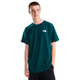 The North Face Mens Evolution NSE Box Short-Sleeve T-Shirt