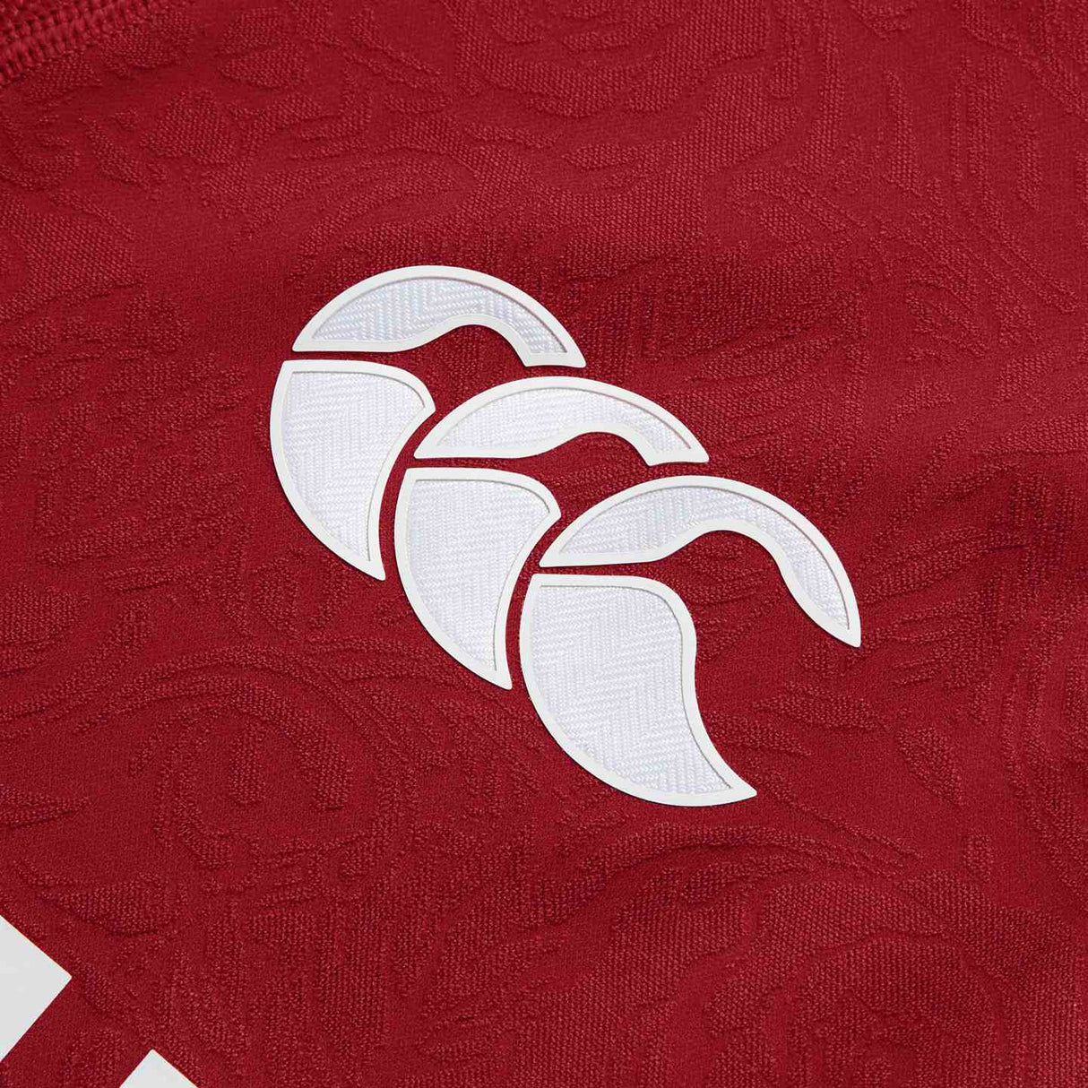 Canterbury British & Irish Lions Rugby Mens Players Jersey