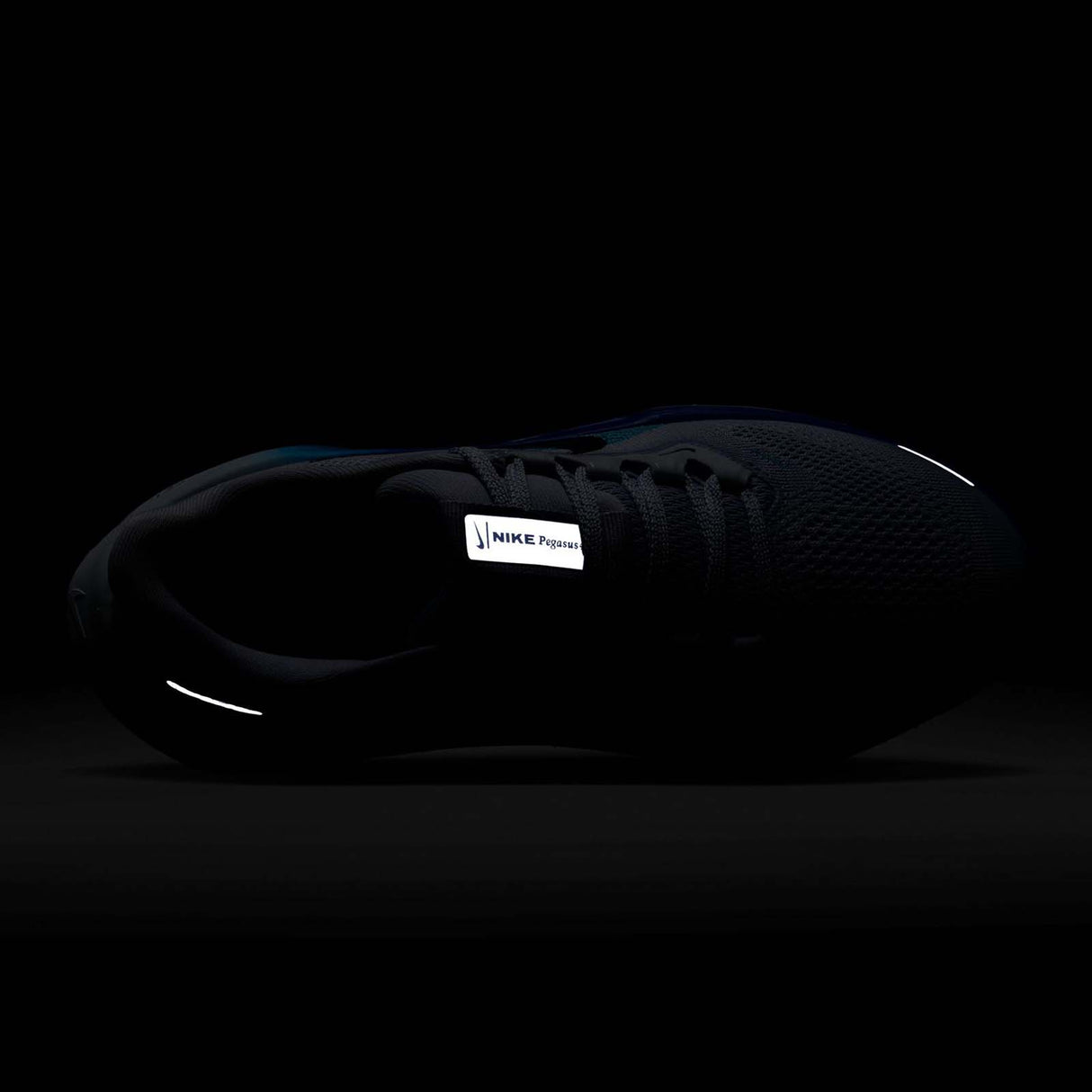 Nike Pegasus 41 Kids Road Running Shoes