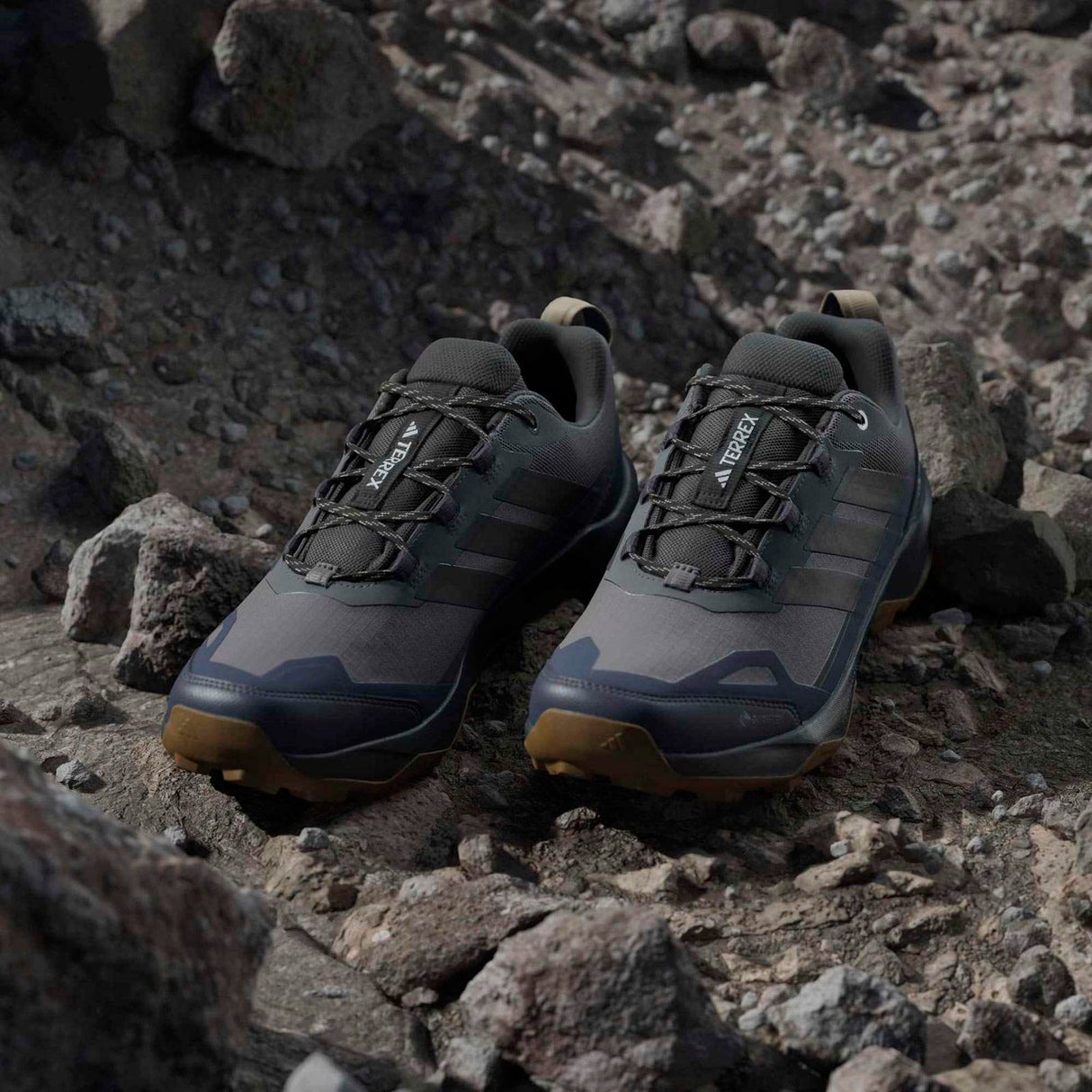 adidas Terrex Skychaser AX5 GTX 0 Grey