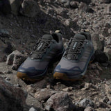 adidas Terrex Skychaser AX5 GTX 0 Grey