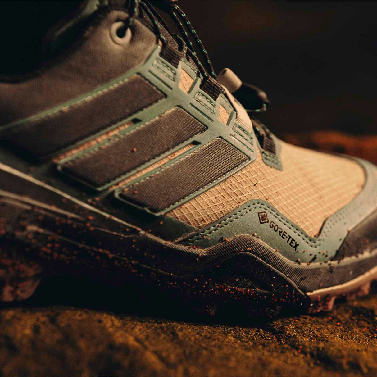 adidas Terrex Skychaser GTX Brown