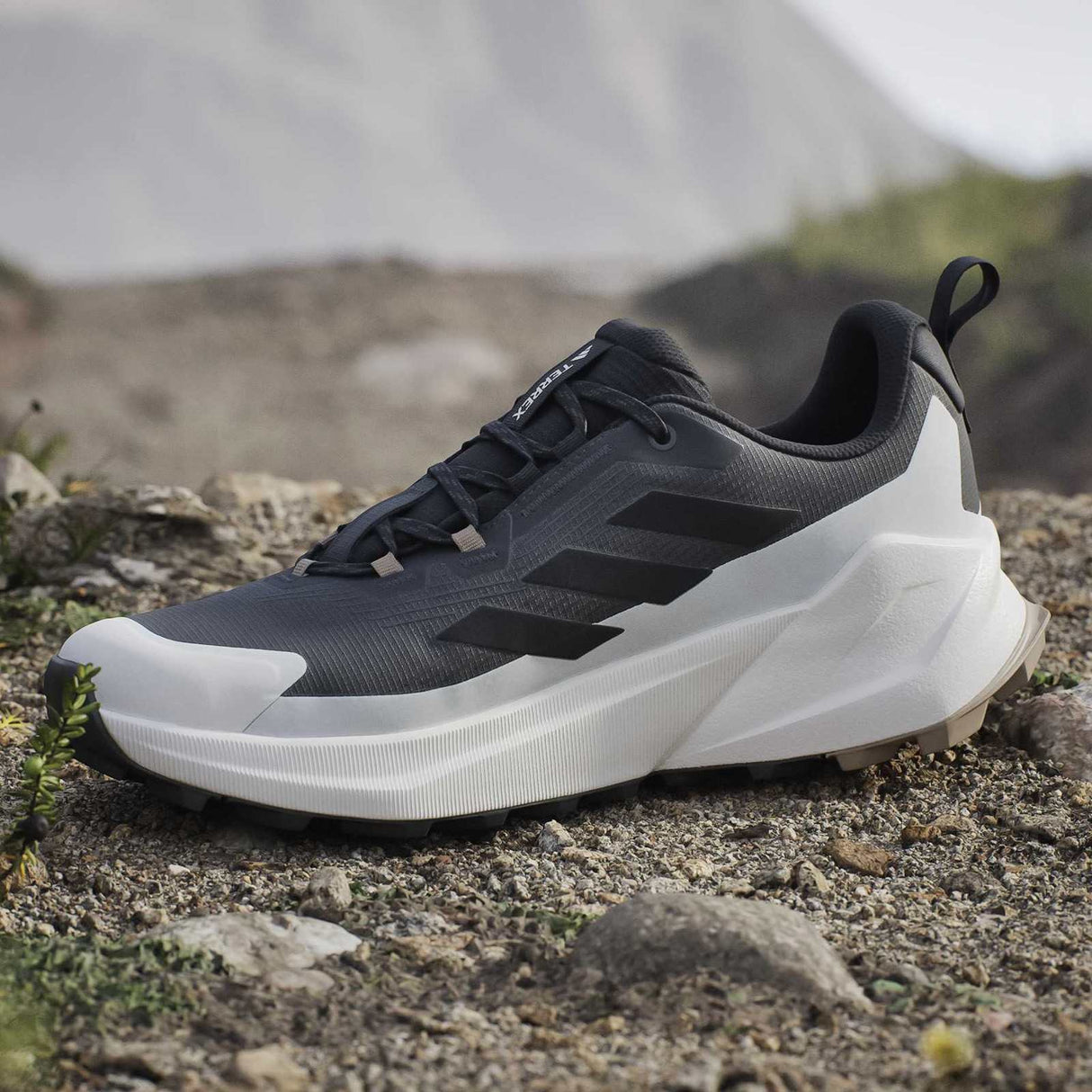 adidas Terrex Trailmaker 2 Gore-Tex Mens Hiking Shoes