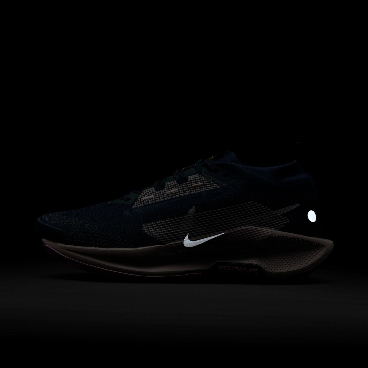 Nike Pegasus Trail 5 GORE-TEX Womens Waterproof Trail Running Shoes