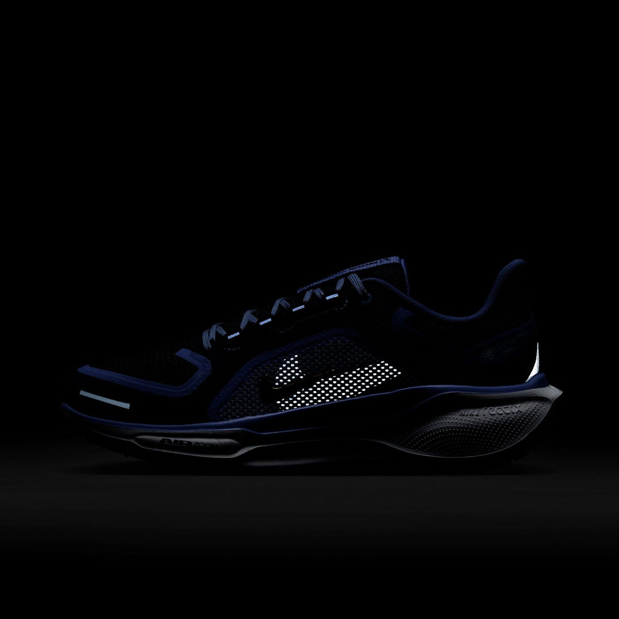 Nike Pegasus 41 GORE-TEX Womens Waterproof Road Running Shoes