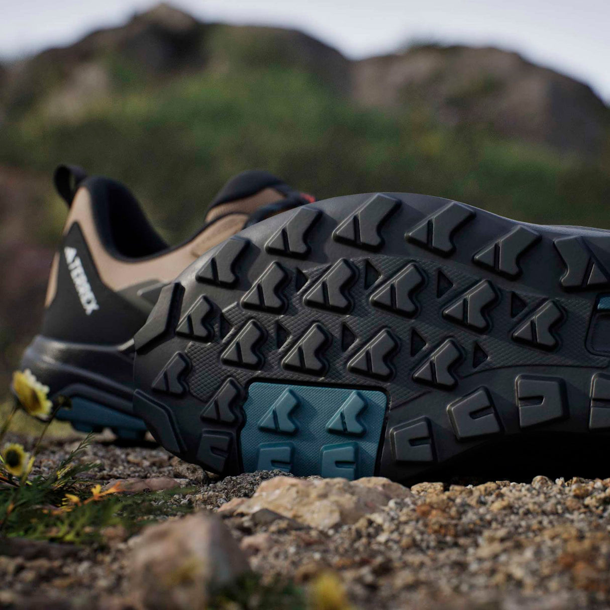 adidas Mens Terrex Anylander RDY  Brown