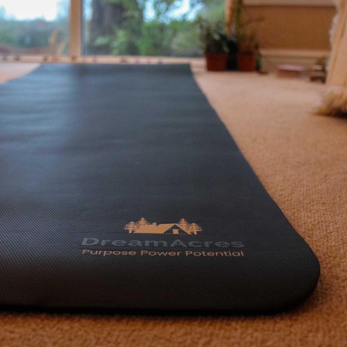 DREAM ACRES Grounding Fitness Mat Black
