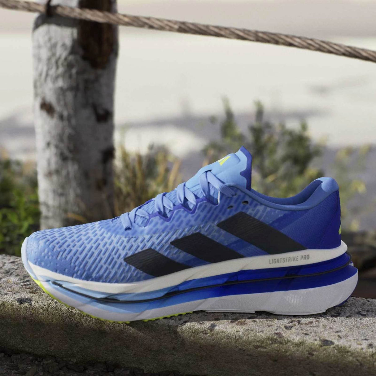 adidas Mens Adistar BYD Blue/Navy