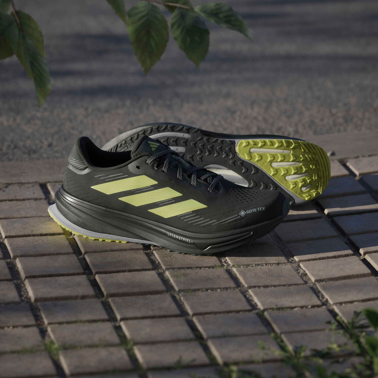 adidas Mens SUPERNOVA RISE GTX M Black