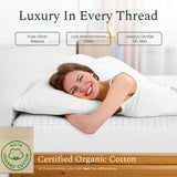 DreamAcres Grounding Sheet Pack -  Organic cotton