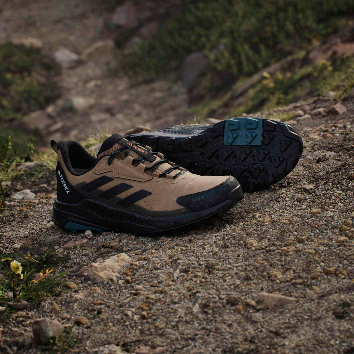 adidas Mens Terrex Anylander RDY  Brown