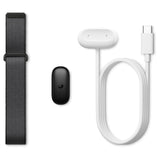 Fitbit Air Purple