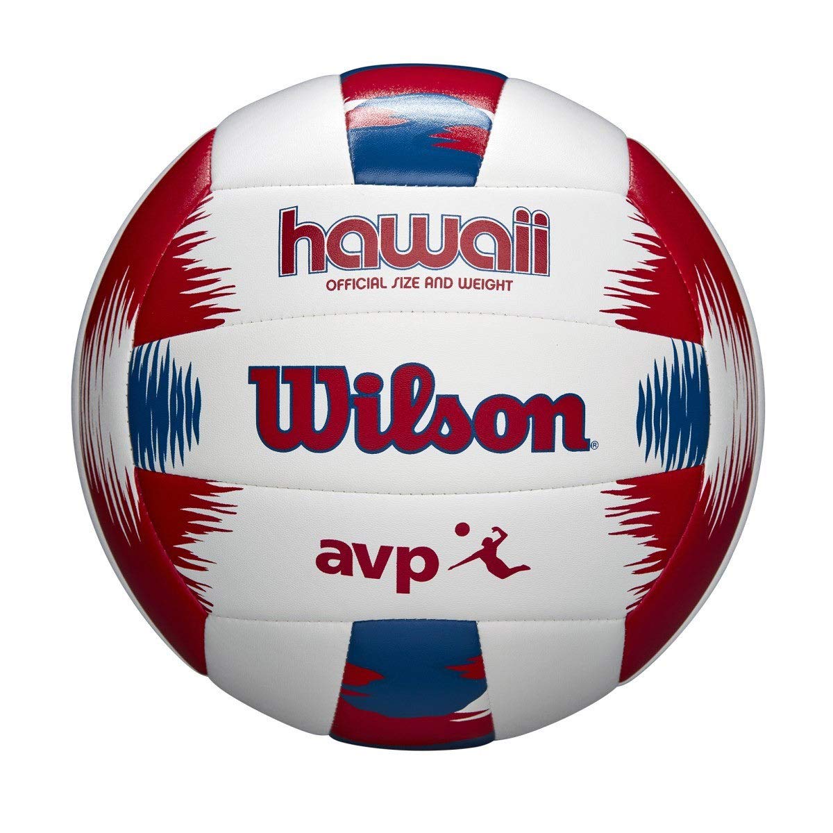 Wilson AVP Hawaii Recreational Kit