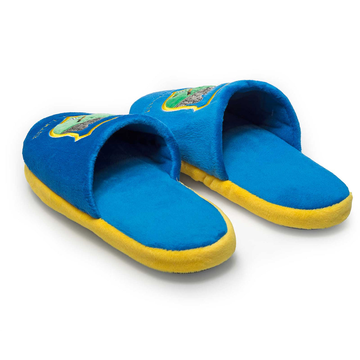 FOCO Ireland Tipperary Kids Slippers