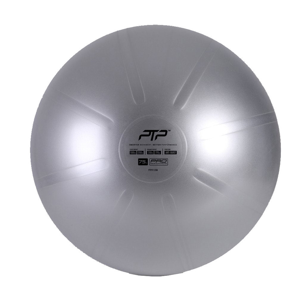 ptp-coreball-75cm-wpump-steel-grey-1122551