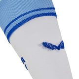 Castore Leinster 2024/25 Away Socks 