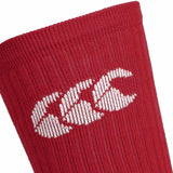 Canterbury British & Irish Lions Rugby 2024/25 Training Socks 