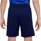 Nike Paris Saint-Germain Strike Kids Dri-FIT Soccer Knit Shorts - back