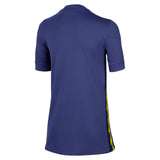 Nike Atlético Madrid 2025/26 Stadium Away Jersey - Back View
