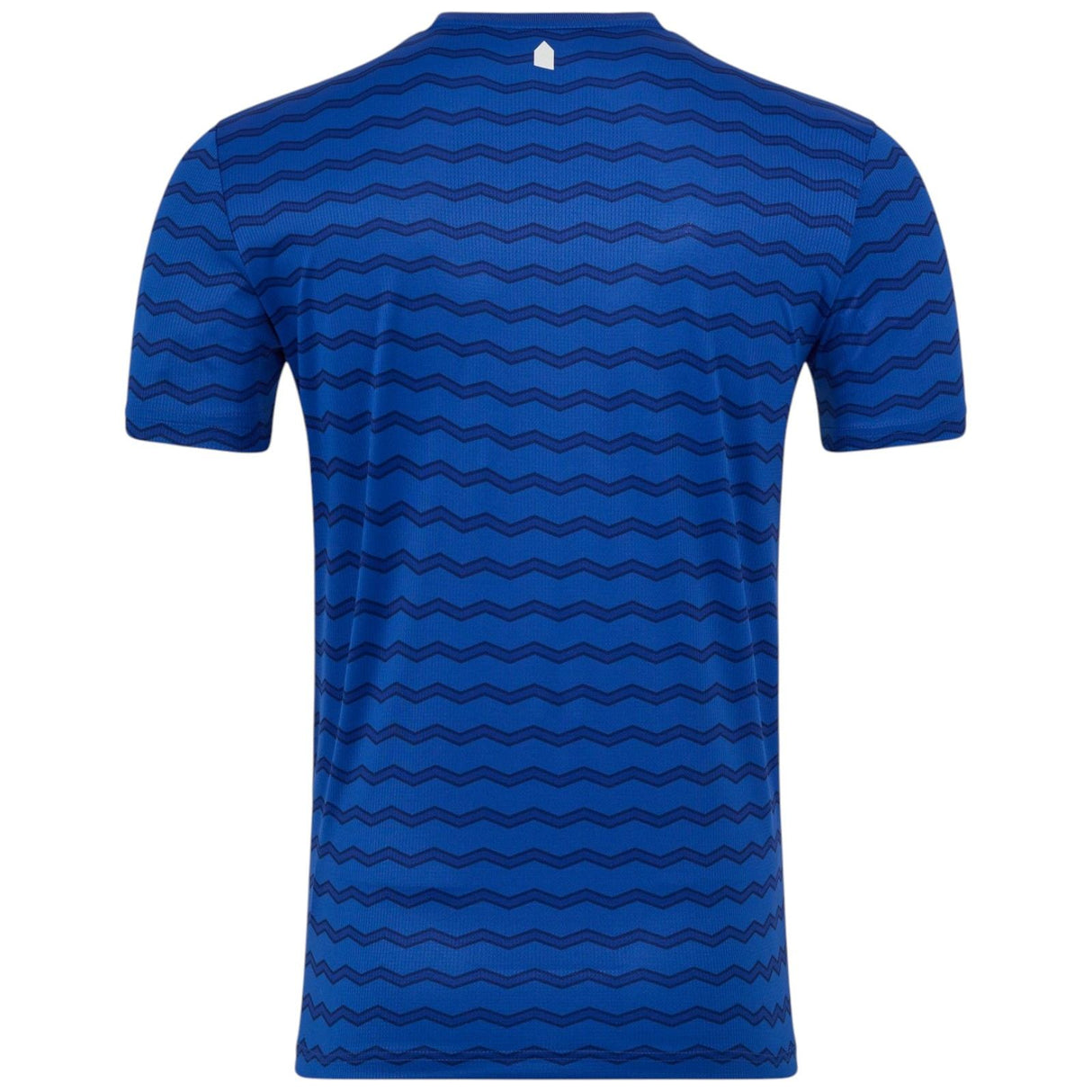 Castore Everton Football 2025/26 Mens Short Sleeved Home Jersey Back View