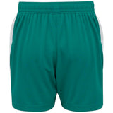 Castore FAI Ireland Football WNT 2025/26 Kids Away Short